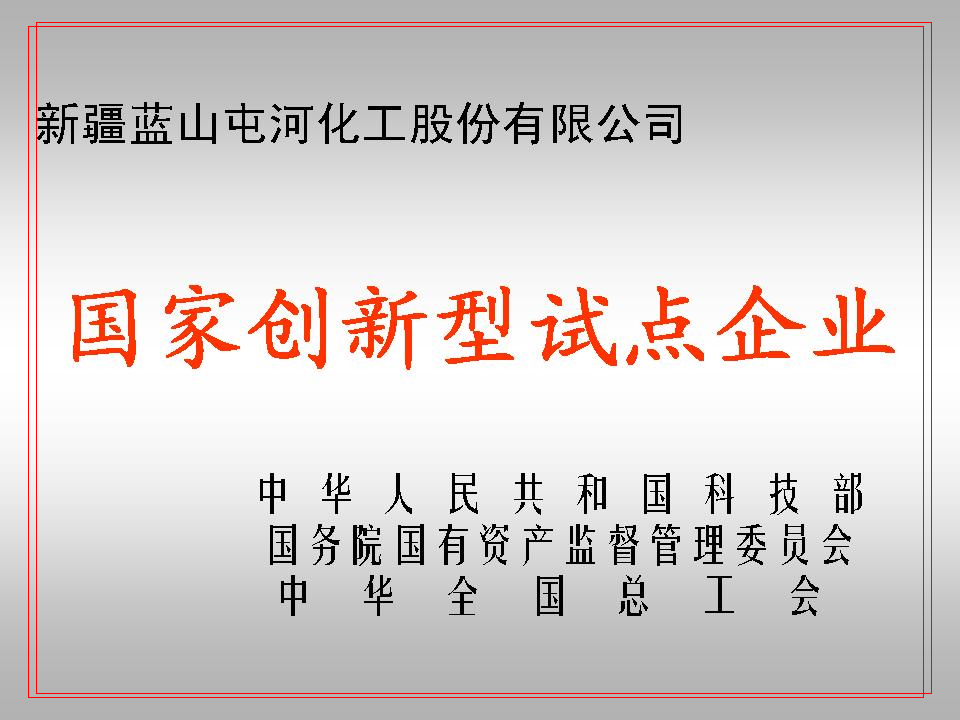 國家創(chuàng)新型試點(diǎn)企業(yè)