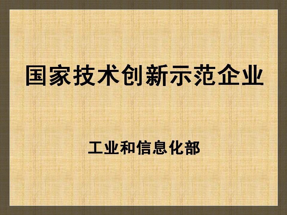國家技術(shù)創(chuàng)新示范企業(yè)